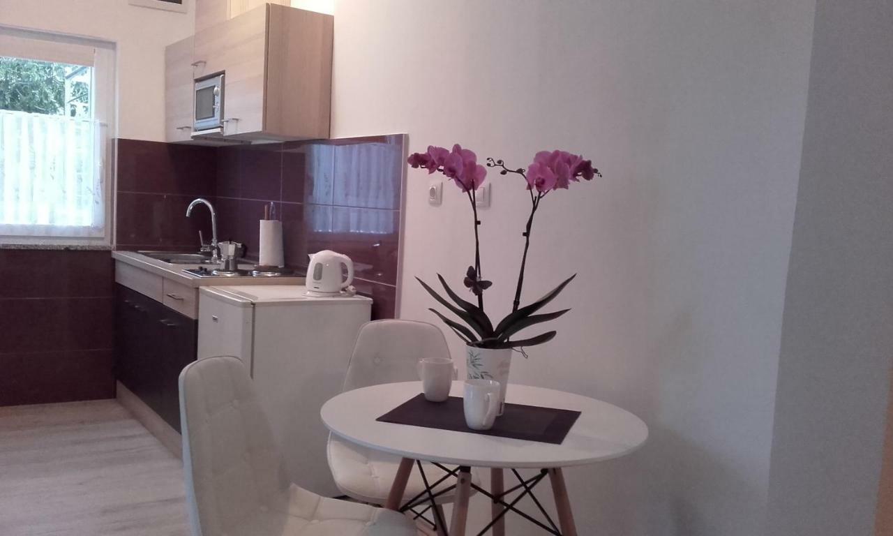 Apartment Tip Top ロヴィニ エクステリア 写真